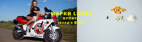 гашик Белокуриха