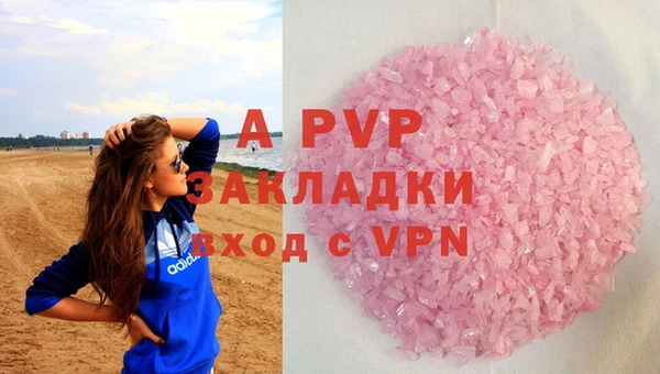 гашик Белокуриха