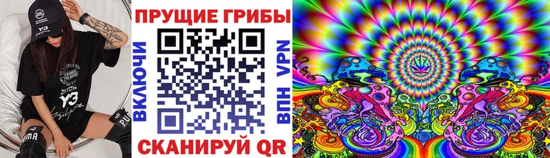 Псилоцибиновые грибы Cubensis Вятские Поляны