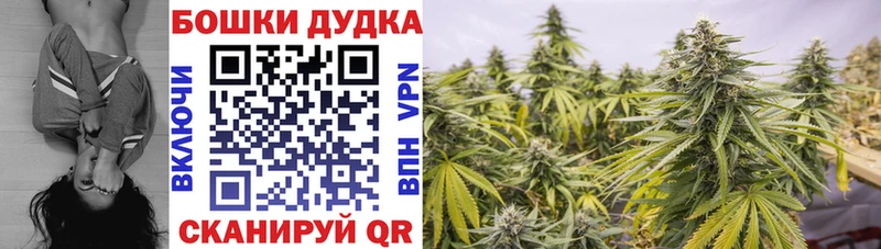 это телеграм  Вятские Поляны  Канабис семена 